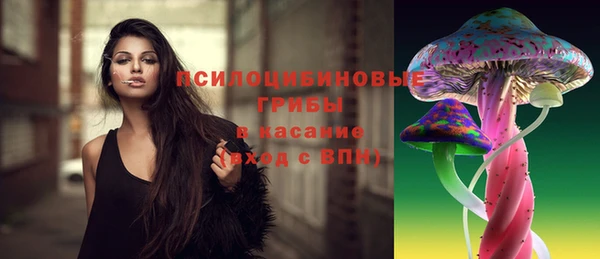 амф Арсеньев